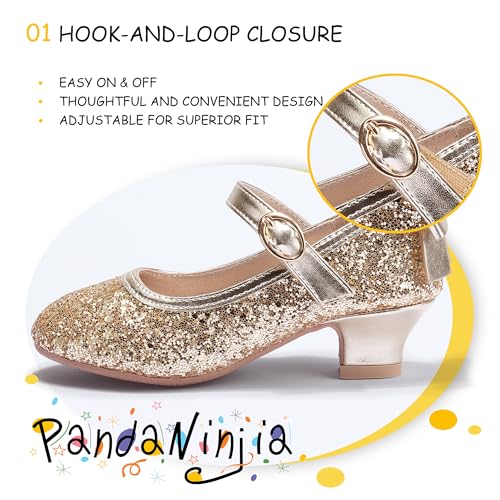 Image of PANDNAINJIA Girls Dress Shoes Toddler Heels Mary Jane Pumps