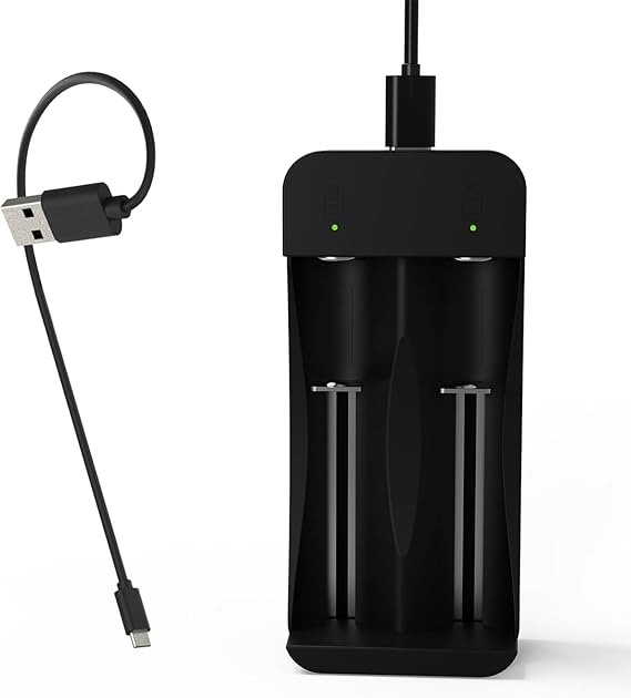 HLQM 2 Bay Rechargeable Battery Charger, Smart Charger for