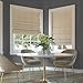 Sun Zero Seraphina Textured 100% Total Blackout Cordless Roman Shade, Taupe, 35