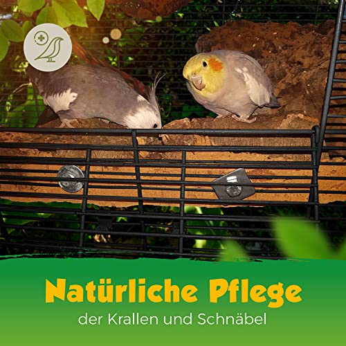 Korkrinde Korkstück, 30 x 15 cm (Naturkork, Zierkork) gereinigt & desinfiziert – ideal für Haustiere (Nager + Vögel) oder Basteln & Hobby (Modellbau), unbehandelte Rinde von der Korkeiche, flach