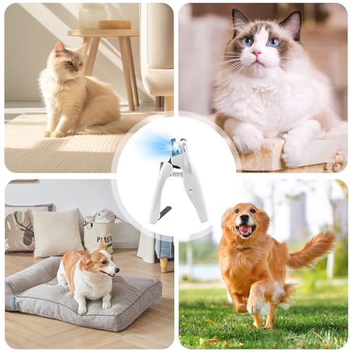 GOMETY Profi LED Hunde & Katzen Nagelknipser: Ergonomischer Griff, Sicherheitsverriegelung, für Mittlere & Kleine Haustiere (Transparent/Silber)