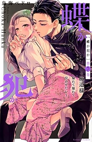 蝶か犯か ~極道様 溢れて溢れて泣かせたい~(9) (KCデラックス) | 鳥海