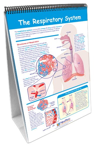 NewPath Learning 10 Piece Human Body Science Curriculum Mastery Flip Chart Set, Grade 6-10 - Image 5