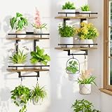 LASZOLA Floating Plant Shelves 2-Pack