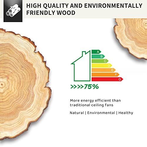 Wofifly 52" Wood Ceiling Fan No Light, Outdoor Indoor Ceiling Fans Without Light, Modern Black And White Ceiling Fans With Remote, Quiet Dc Motor 6 Speeds 8H Timer For Farmhouse Patio Yard #TOP6