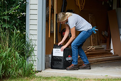 image for Briggs & Stratton 6494 Protective Cover for P2200 Inverter Generator, 