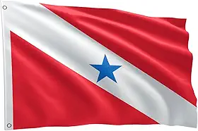 Bandeira Dos Estados Brasileiros Grande 1,50 X 0,90 M (Pará BDPA150)