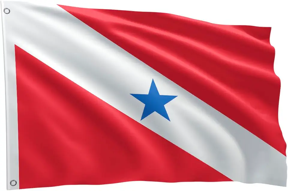 Bandeira Dos Estados Brasileiros Grande 1,50 X 0,90 M (Pará BDPA150)