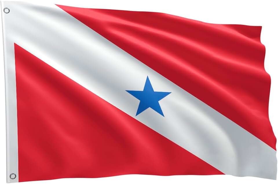 Bandeira Dos Estados Brasileiros Grande 1,50 X 0,90 M (Pará BDPA150)