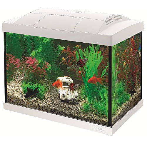Superfish Start 20 Goldfish Aquarium LED - 36 x 23 x 32.1 cm - 20 L - Wit