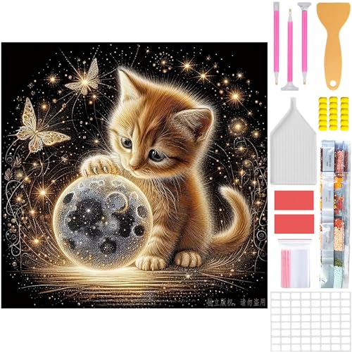 Amyaker ダイヤモンドアート キット ダイアモンドビーズ絵画キット 日本語キャンバス DIY 手作り絵画 モザイクアート 5D モザイクアート ダイヤモンド塗装 全面貼り付けタイプ 30x30cm 惑星 猫
