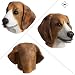CreepyParty Beagle Hund Maske Tier Latex Vollkopf Realistische Masken für Halloween Karneval Kostüm Party Parade