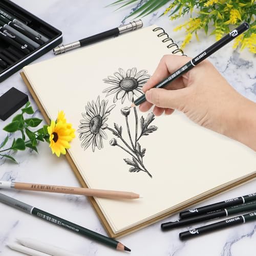 BINYI Skizzen Zeichen Bleistift Set Zeichenstifte Professionell Zeichenset Malset mit Graphitstift Kohlestifte für Zeichnen Skizzieren für Künstler Erwachsene Teenager 19 Stück