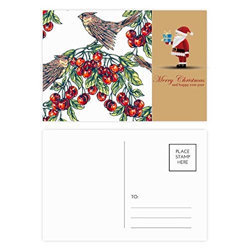 Cartes postales Père Noël oiseaux fruits en impression haut de gamme
