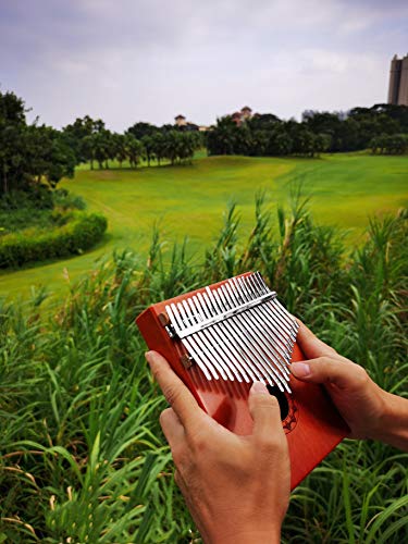 Flybiz 21 Clés Kalimba, Piano à Pouce Professionnel, Haute Qualité Doigt Instrument, Acajou de Haute Qualité, Marimba… - Les Beatles, Paul McCartney, John Lennon, RIngo Starr, George Harrison Flybiz 21 Clés Kalimba, Piano à Pouce Professionnel, Haute Qualité Doigt Instrument, Acajou de Haute Qualité, Marimba… – Image 8