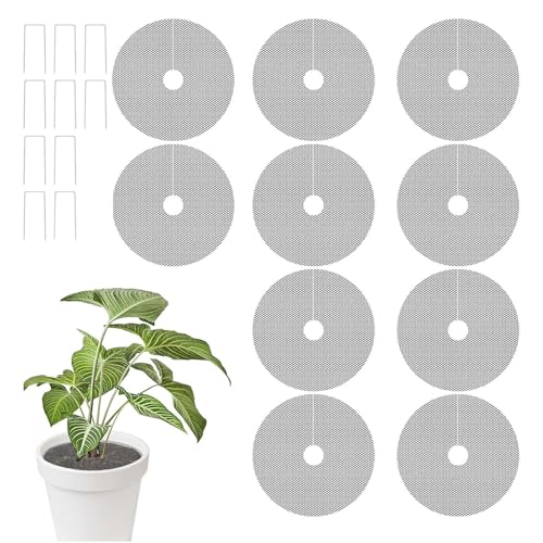 Lp A y Jo[,10 ی` tB[ | 10{̎xt ۂAAJo[,qL   |   Op