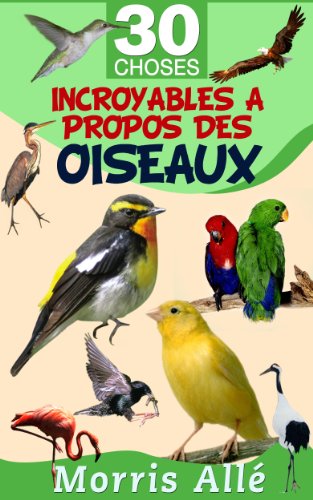 Livre Pour Enfant 30 Choses Incroyables A Propos Des Oiseaux Ebook Alle Morris Amazon Fr
