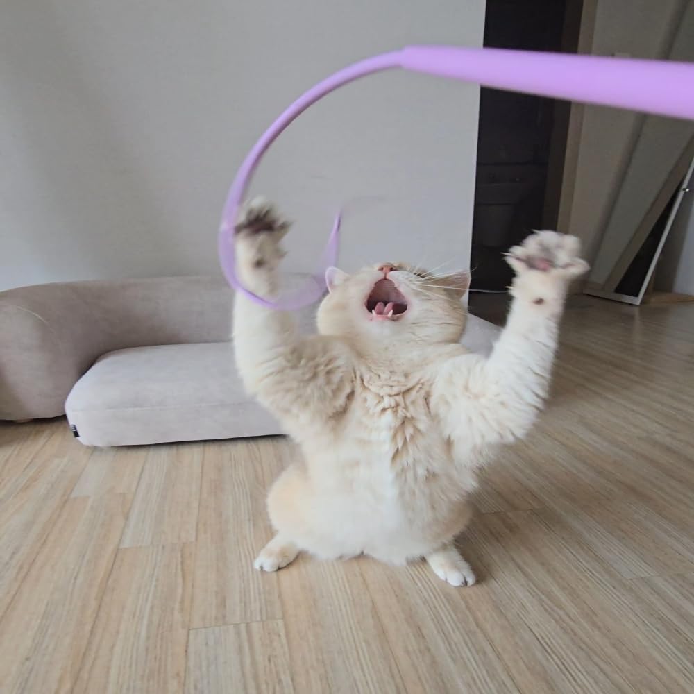 PETRIUM Catch Me If You Can! Silicone Cat Toy Teaser Wand – Durable, Easy-to-Clean Interactive Toy for Active Cats, Safe with Natural Predator