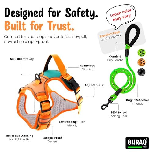 Image of Buraq Reflective Dog Harness with Leash, No-Pull Adjustable Belt Vest for Small, Medium & Large Dogs, Escape-Proof, Padded Training & Walking Harness (L - Orange)
