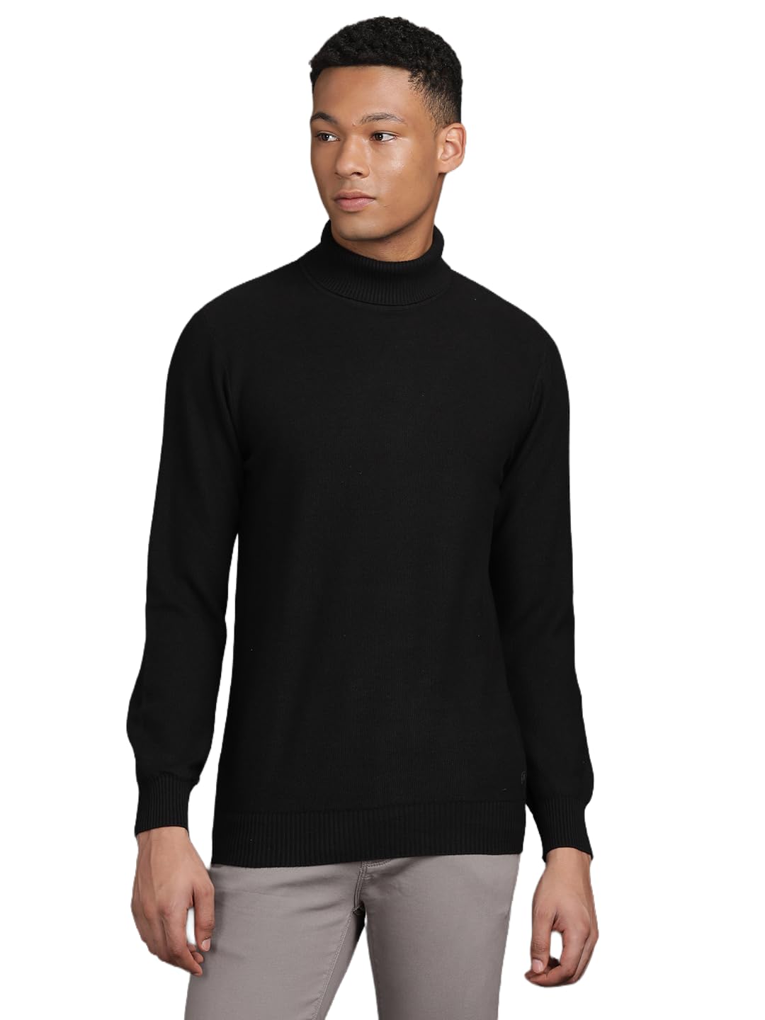 turtle Dobby Pullover Sweater for Men || Full Sleeve Textured Knitted Regular Fit || Winter Casual Structured Wear-picture-22