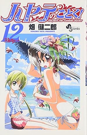限定版多数】ハヤテのごとく！1-47巻+2冊 帯付き(おまけ多数) ハヤテの