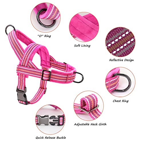 Imbracatura per Bulldog Francese No Pull Pet Imbracatura per Cani Imbottita in Nylon Imbracatura Riflettente per Cani di Piccola e Media Taglia