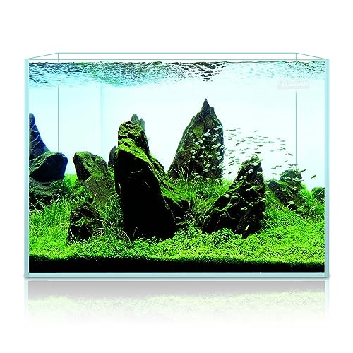 Image of LYPHARD AQUARIUMS 3.5 Gallon Rimless Aquarium, Ultra Clear Low Iron Nano Fish Tank for Betta Shrimp, L15xW5.5xH9.8 Glass Thickness 5mm with EVA Foam Leveling Mat