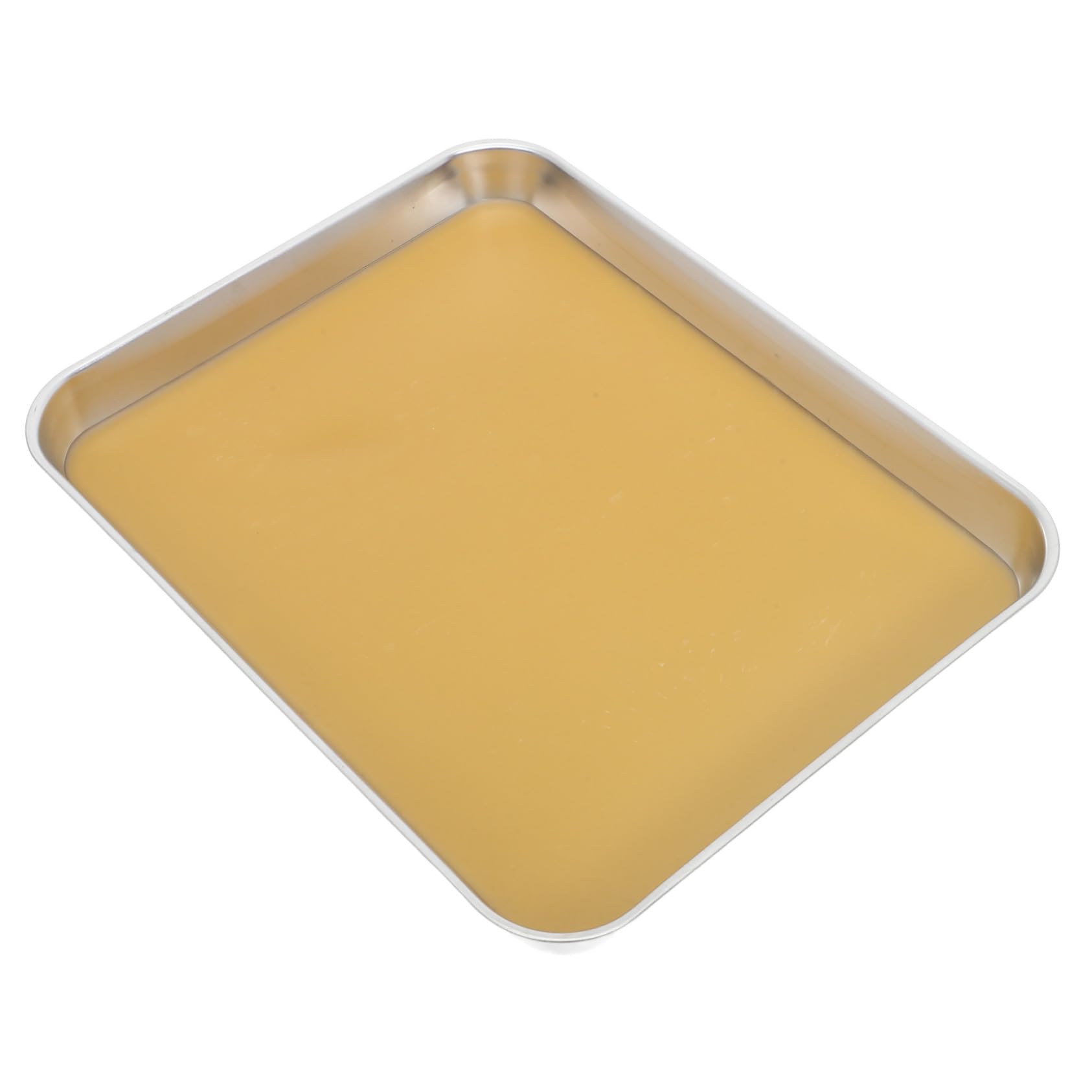 Hemobllo Bandeja de Disección Acero Inoxidable con Base de Cera Integrada para Laboratorio Biología Resistente y Fácil de Limpiar Equipo Educativo para Secundaria y Bachillerato