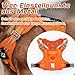 rabbitgoo Hundegeschirr mittelgroße Hunde, Anti Zug Geschirr Hund Verstellbar mit Griffe Verbreitert, Robust und Verschleißfest, Taktisches Hundegeschirr mit Metallschnallen zum Wandern(M, Orange)