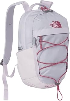 THE NORTH FACE Men's Borealis Backpack (pack of 1)