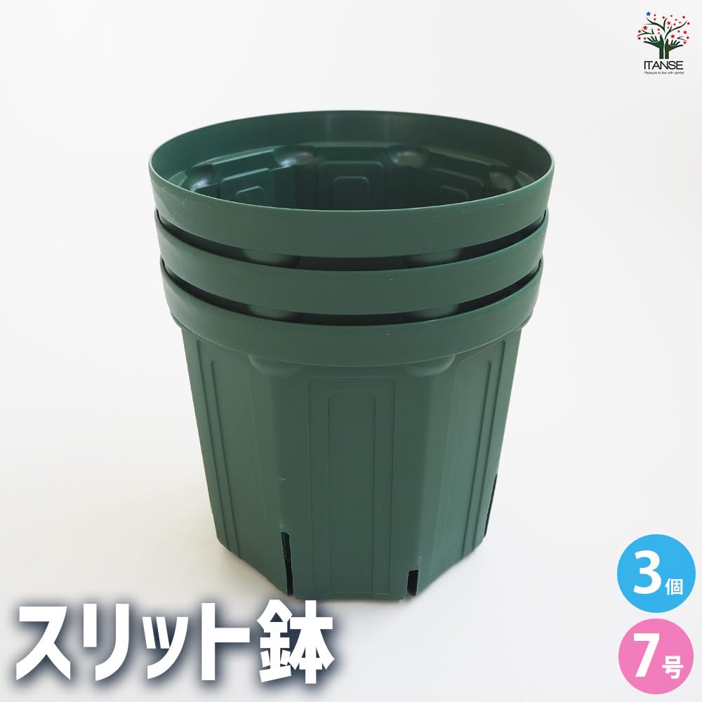 Amazon.co.jp: ITANSE スリット鉢 7号 3個セット【用途で Amazon.co.jp: ITANSE スリット鉢 7号 3個セット【用途で