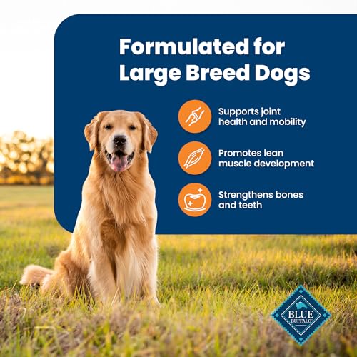 Blue Buffalo Life Protection Formula Large Breed Adult Dry Dog Food, Promotes Joint Health and Lean Muscles, Made with Natural Ingredients, Chicken & Brown Rice Recipe, 34-lb. Bag - Image 5