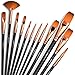 Professional Artist Paint Brush Set of 12 - Painting Brushes Kit for Kids, Adults Fabulous for Canvas, Watercolor & Fabric - for Beginners and Professionals - Great for Water, Oil or Acrylic Painting