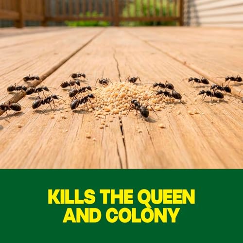 Image of Raid Outdoor Liquid Ant Bait, Starts Killing Listed Ants Within 24 Hours, Effective Outdoors, Pre-Filled and Ready-to-Use, 8 Bait Stations Per Pack, 2 fl oz
