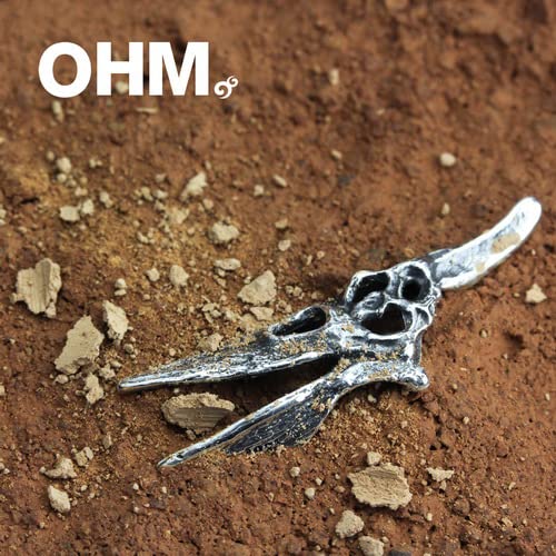 Ohm Pteranodon czaszka i kości krzyżowe Aaa086