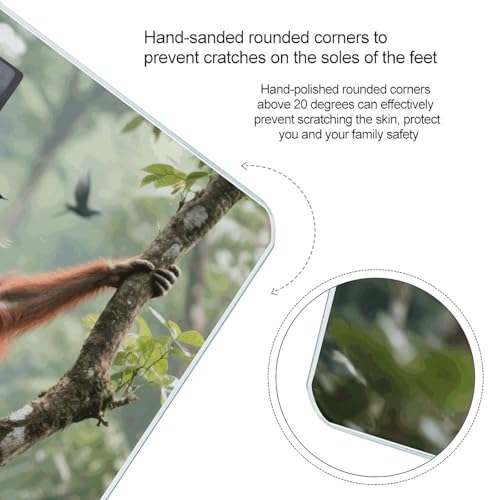Báscula Digital de Baño Swinging Orangutan Precisa 400 lb miniatura 4