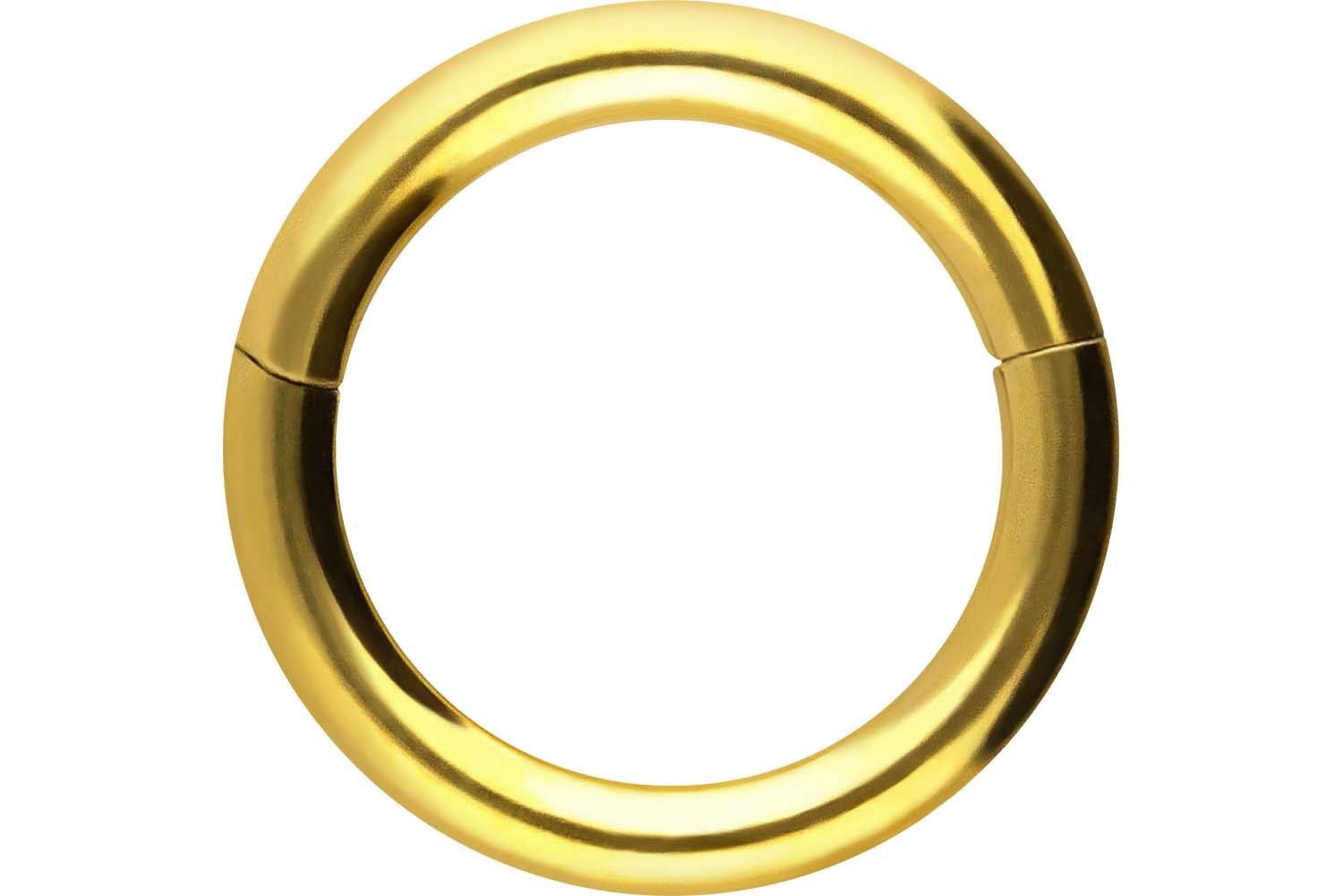 PIERCINGLINE Anillo segmento Clicker de acero quirúrgico – Piercing en oro, plata, rosa, negro o azul – para nariz, tabique, oreja, hélice o tragus — view 65