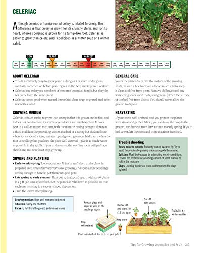 image for Design Originals Plant Combinations for an Abundant Garden: Design and