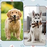 Bodeshis 1 Small Indestructible Dog Toys,indestructible dog toys for aggressive chewers, Tough Toy for Small to Medium Dog, dog teddy toy for pets, Promotes Dental Health and Reduces Boredom - Image 6