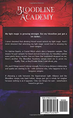 Dark Spark: A Young Adult Urban Fantasy Novel (Bloodline Academy) - Image 2