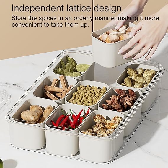 Image of SPIREX Reusable 9-Grid Food Storage Box |Spice & Snack Divider Tray| Multi-Compartment Bento Organizer Fruit Spices Candy Veggie Nuts & Snacks with lid Pack of 1