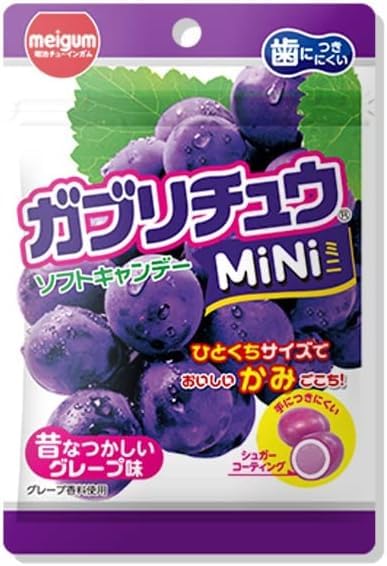Amazon.com : Senka Japanese Soft Candy Chews Gaburichew Mini Grape
