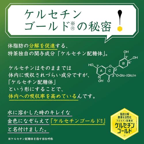 Té verde premium Iyemon Tokucha pack 10 botellas 500ml miniatura 7