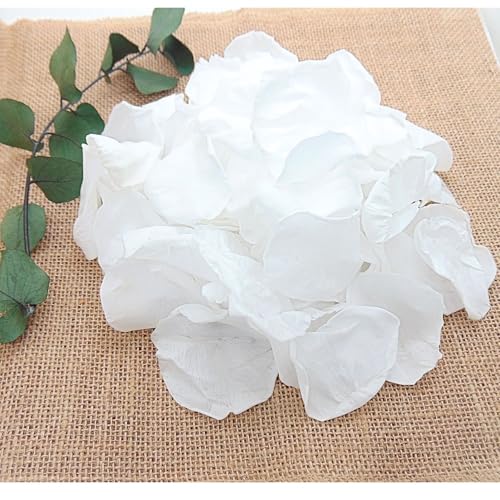 Petales Boheme - Pétales de Rose blanche stabilisée - Vrai Pétale de Roses blanche éternelle Mariage - Confettis de Mariage Biodégradable Décoration...