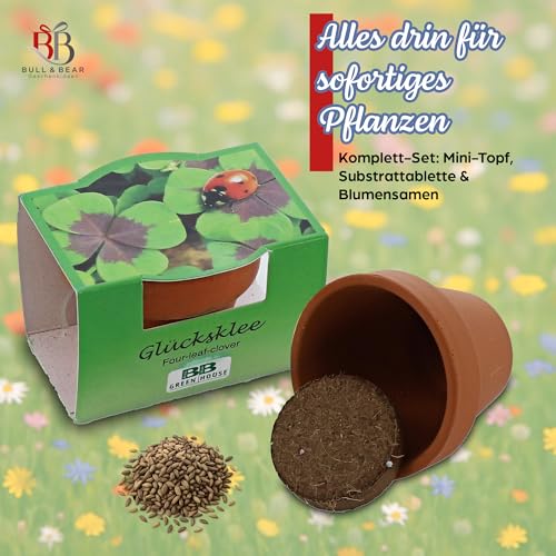Bull & Bear 3er Set Mini-Pflanzset Glücksklee, Kleezwiebeln im Topf 4,5cm, vierblättrige Kleeblätter als Anzuchtset mit Pflegeanleitung