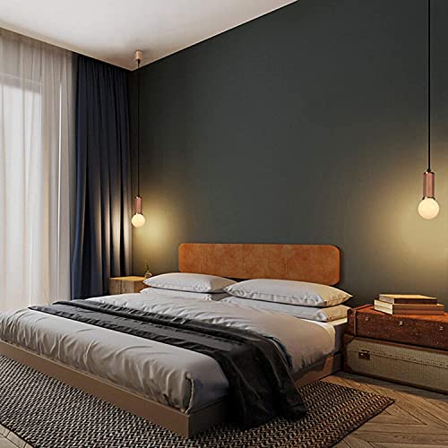 Candelabros nórdicos LED de techo para sala de estar y pasillos de hogar 5