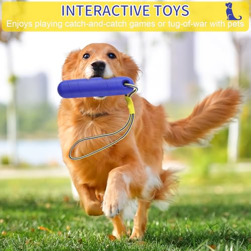 Hundespielzeug,Schwimm Spielzeug für Hunde,Wasserspielzeug für Hund Hundetraining,Interaktives Hundespielzeug,Trainieren und Apportieren im Wasser, Hunde Spielzeug für Mittelgroße, Große Hunde