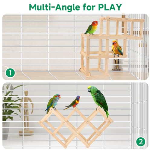 Plataforma multiangular de pêssegos papagaio (5 blocos), brinquedos chiques de enriquecimento de pás