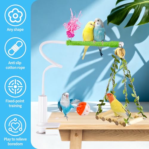 ZooVibe Bird Toys,Free Bending Bird Perch Stand with Climbing Ladder, Desktop Stand for Interacting, Parakeet Playground Play Stand for Lovebirds Conure,Mount for Budgie, Cockatiel, Conure
