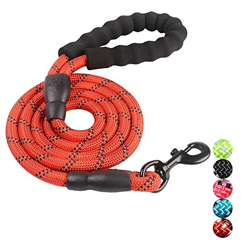 NAMCHE Laisse pour Chien en Nylon avec poignée rembourrée Ergonomique- Modèle Classique, 150cm, résistante et Souple - Excellente qualité, pour Chien Grand et Moyen. (Rouge) Cover